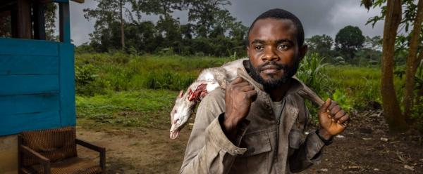 Au Gabon, des chasseurs sont formés à repérer les signaux faibles d'émergence d'épidémies chez la faune sauvage © Brent Stirton-Getty Images for FAO, CIFOR, CIRAD, WCS